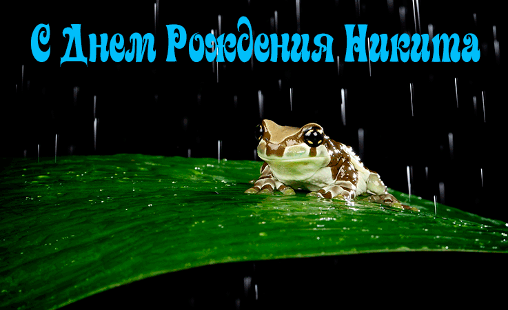 Поздравления Никите