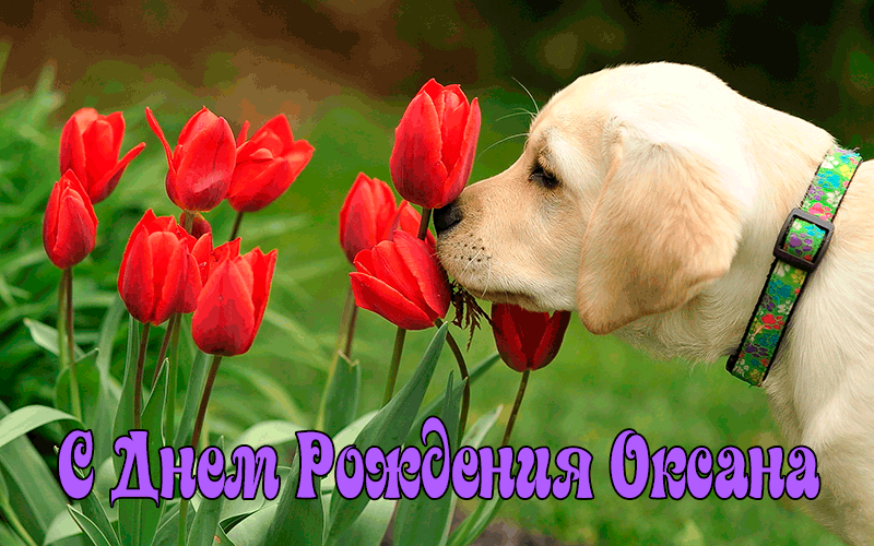 Поздравления Оксане