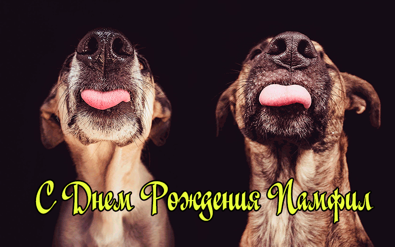 Поздравления Памфилу