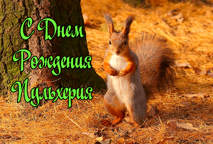 Поздравления Пульхерии