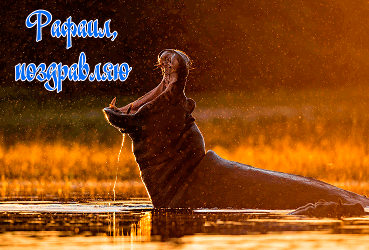 Поздравления Рафаилу