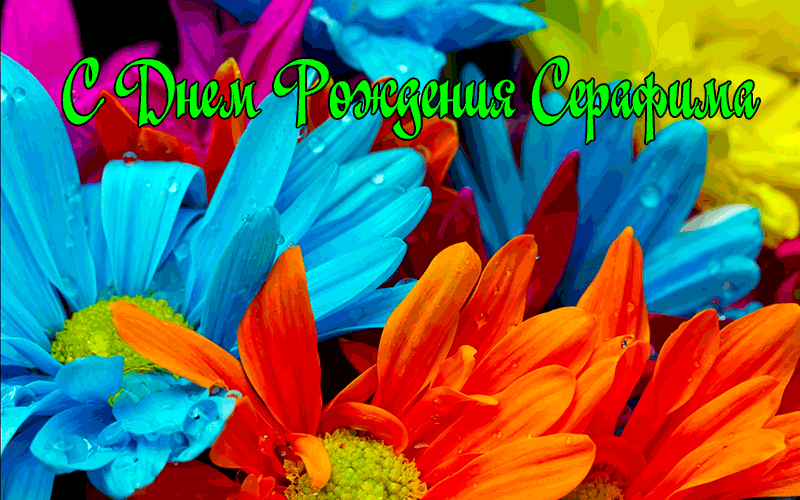 Поздравления Серафиме