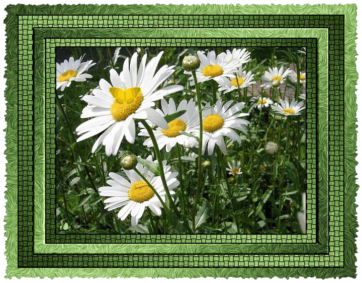 Поздравления Светлане