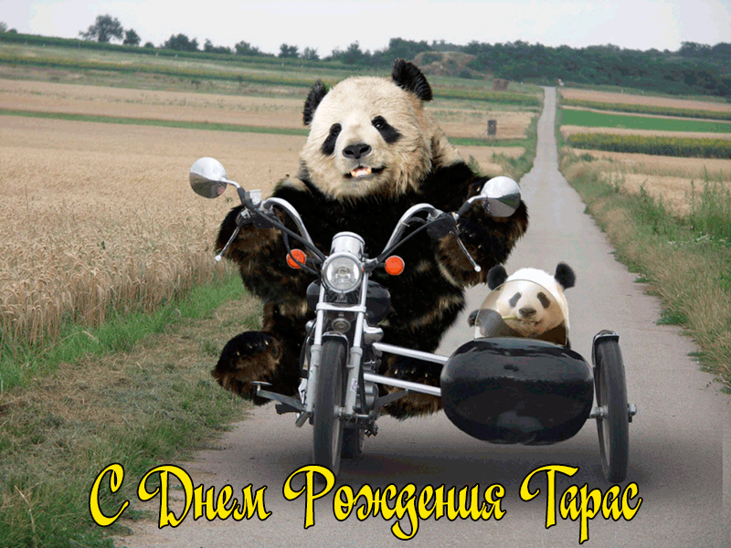 Поздравления Тарасу