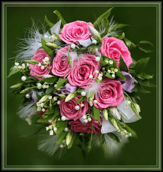 Поздравления Тимофею