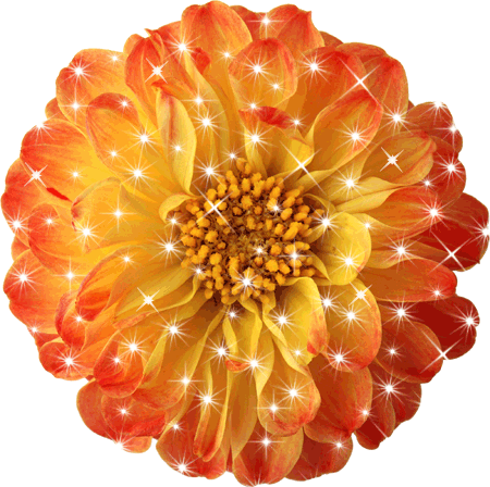 Поздравления Трофиму