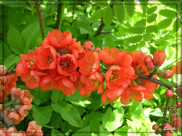 Поздравления Ульяне