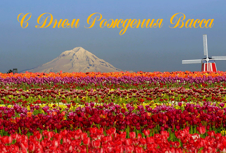 Поздравления Вассе