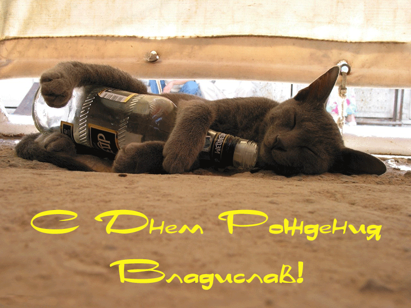 Поздравления Владиславу