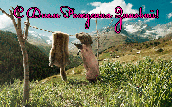 Поздравления Зиновию