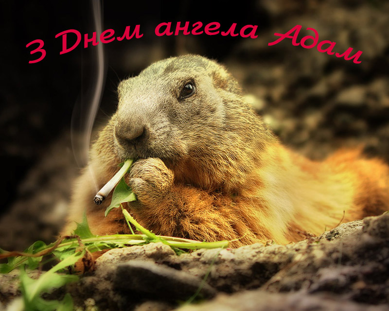 Привітання Адаму