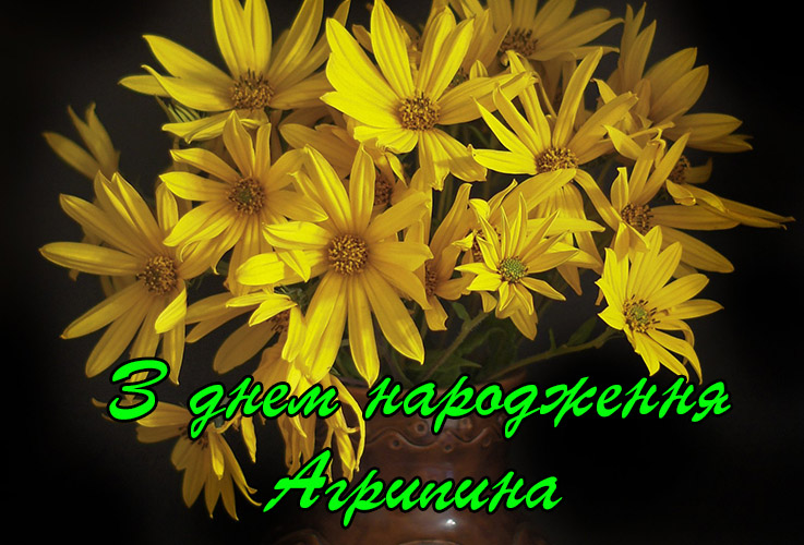 Привітання Агрипині