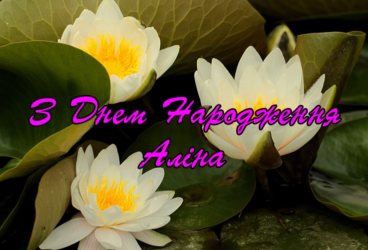 Привітання Аліні