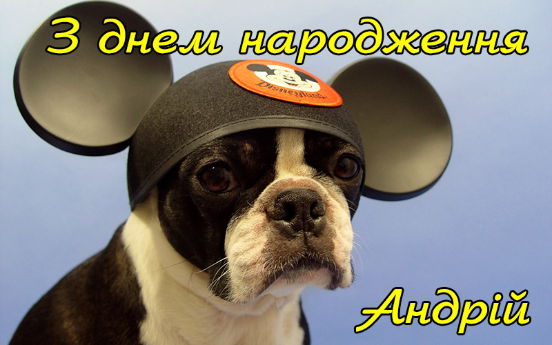 Привітання Андрію