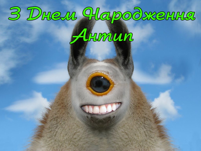 Привітання Антипу