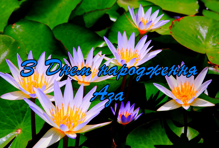 Привітання Азі