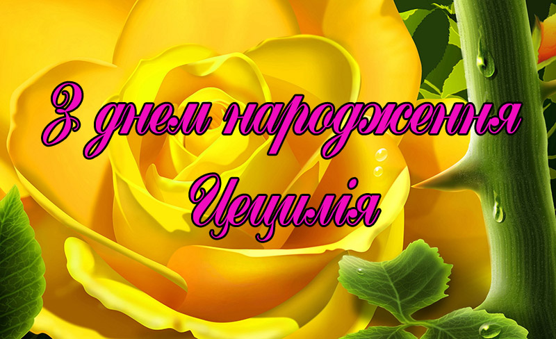 Привітання Цецилії