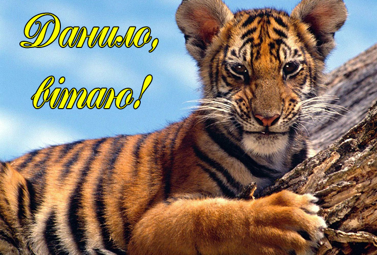 Привітання Данилу