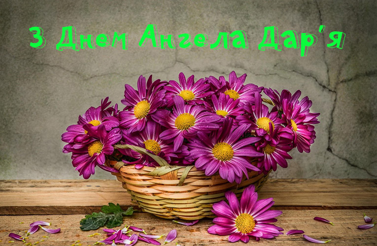 Привітання Дар’ї