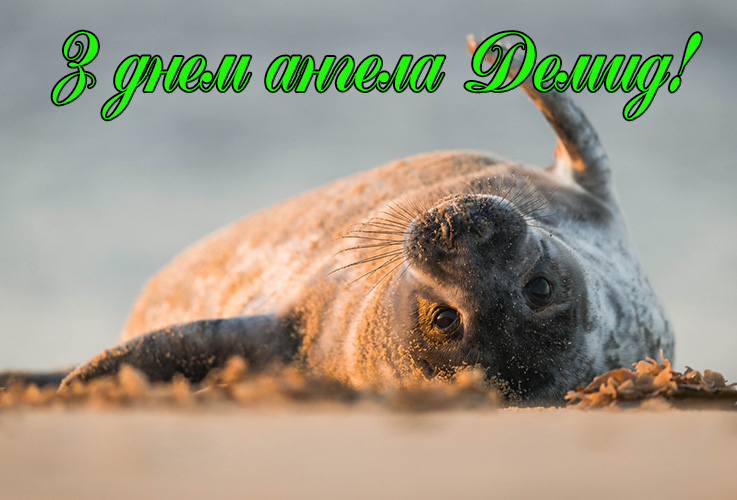 Привітання Демиду