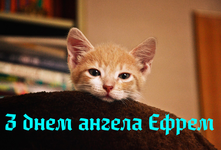 Привітання Єфрему