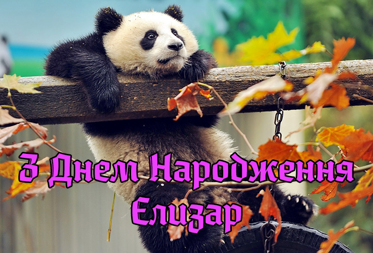 Привітання Єлизару