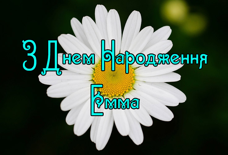 Привітання Еммі