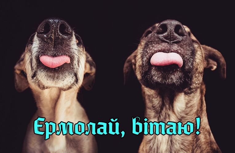 Привітання Єрмолаю