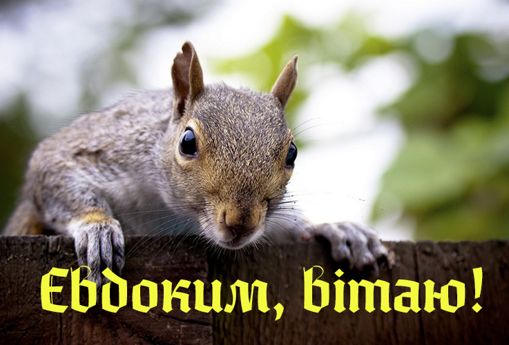 Привітання Євдокиму