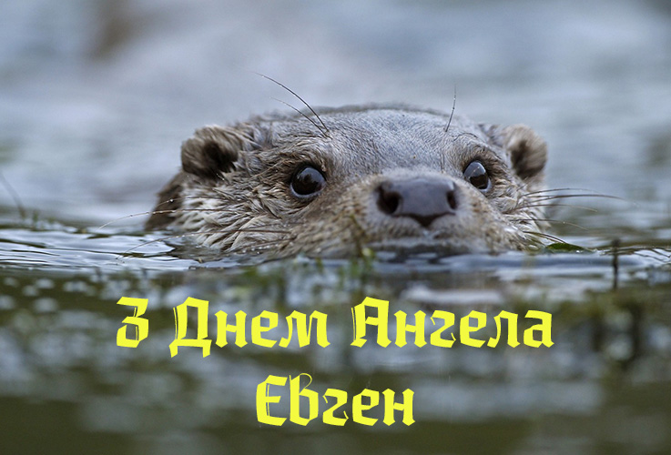 Привітання Євгену
