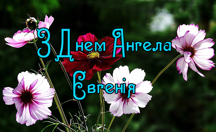 Привітання Євгенії