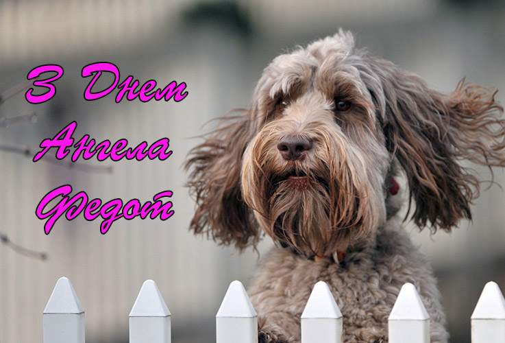 Привітання Федоту