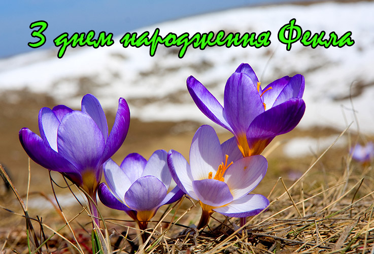 Привітання Феклі