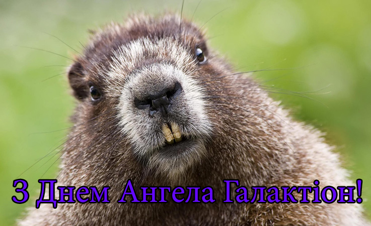 Привітання Галактіону