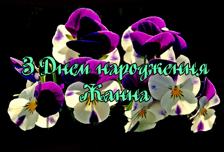 Привітання Жанні