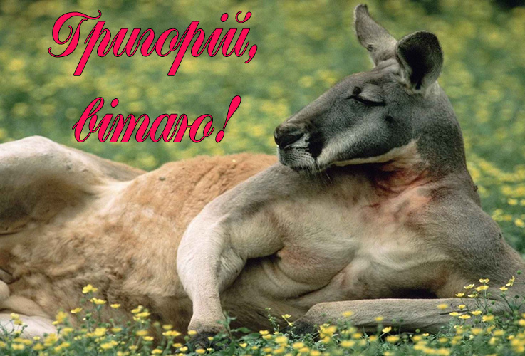 Привітання Григорію
