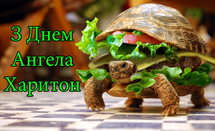 Привітання Харитону