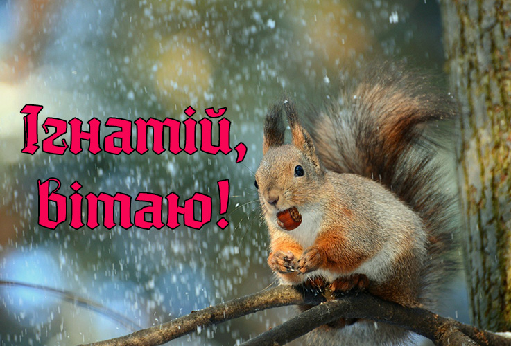 Привітання Ігнатію