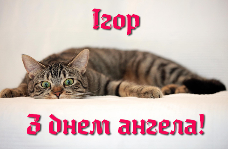 Привітання Ігорю