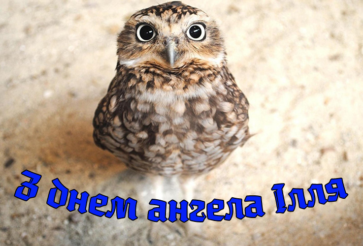 Привітання Іллі