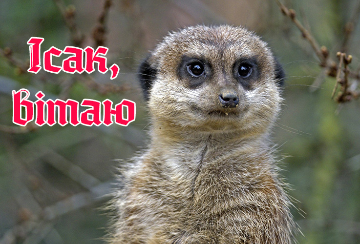Привітання Ісаку