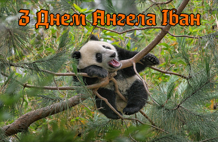 Привітання Івану