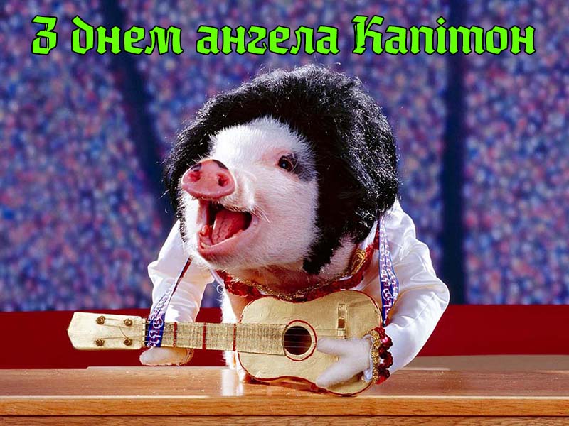 Привітання Капітону
