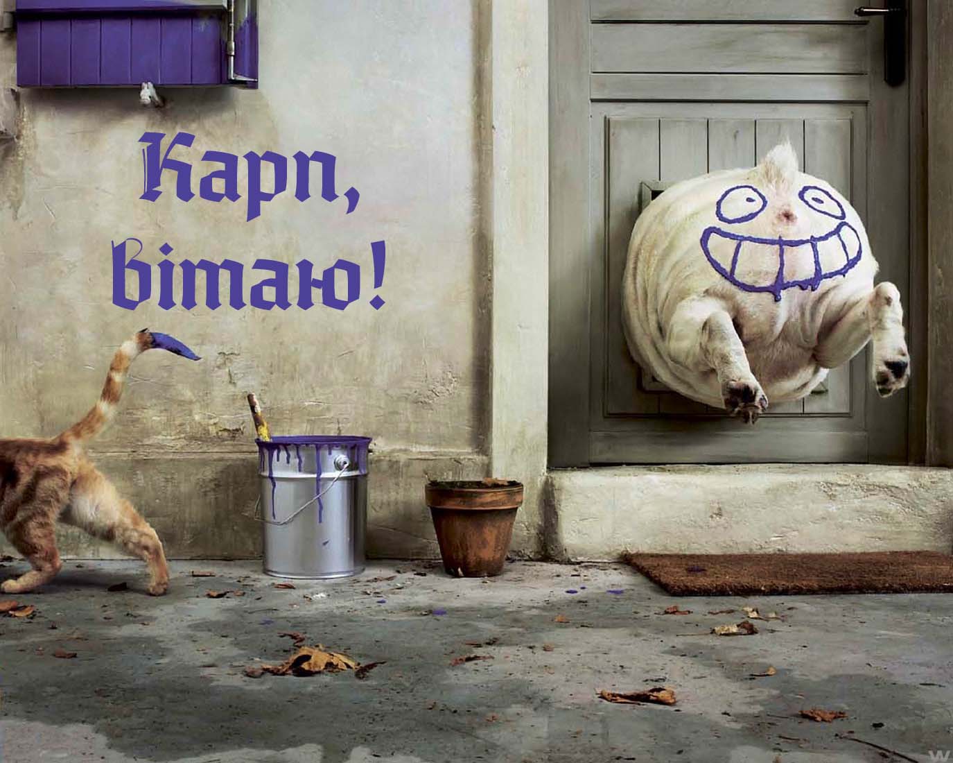 Привітання Карпу