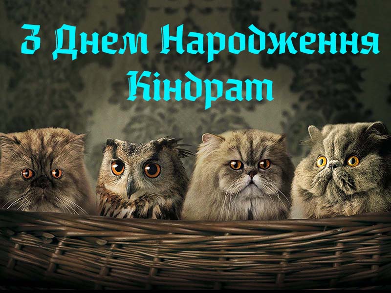 Привітання Кіндрату