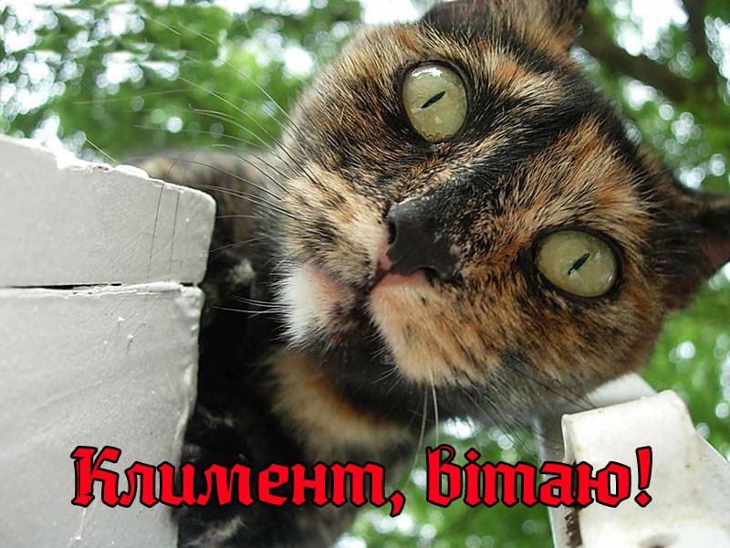 Привітання Клименту