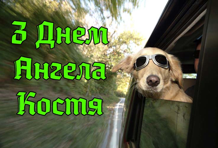 Привітання Костянтину