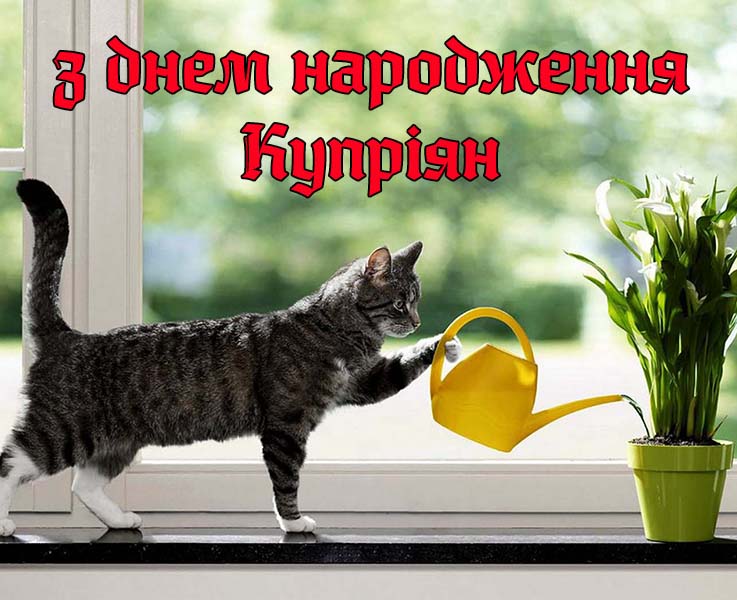 Привітання Купріяну