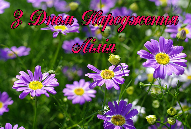 Привітання Лілії