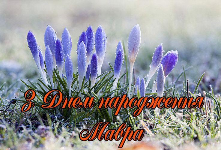 Привітання Маврі
